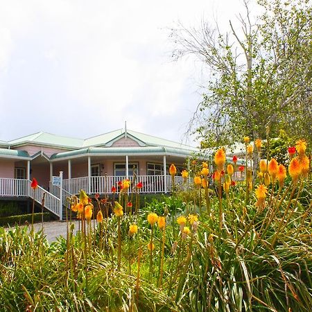 Matakohe House Bed & Breakfast ภายนอก รูปภาพ